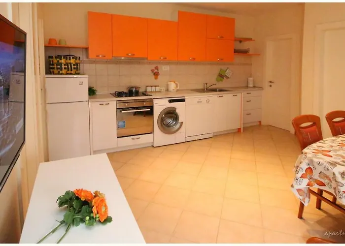 Zoro 3* 프리모스턴