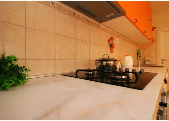 Zoro 프리모스턴