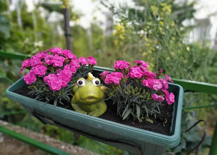 Zoro 게스트하우스